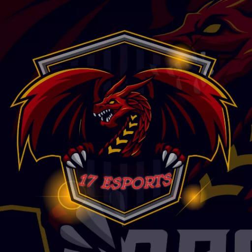 17 ESPORTS