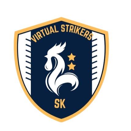 Virtual Strikers SK