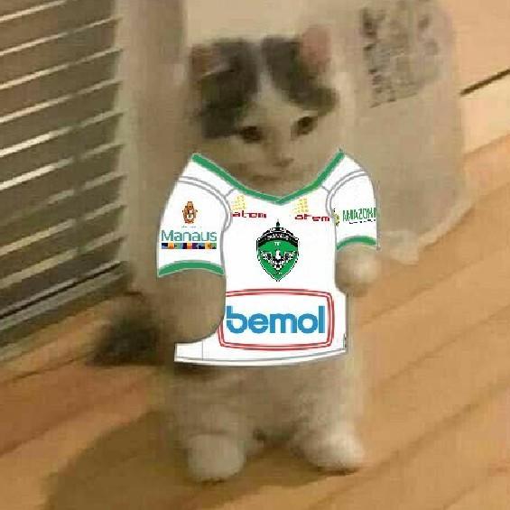 Mini gatinho (emprestado)