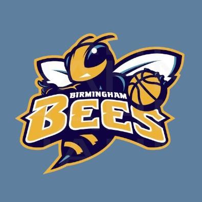 Birmingham Bees