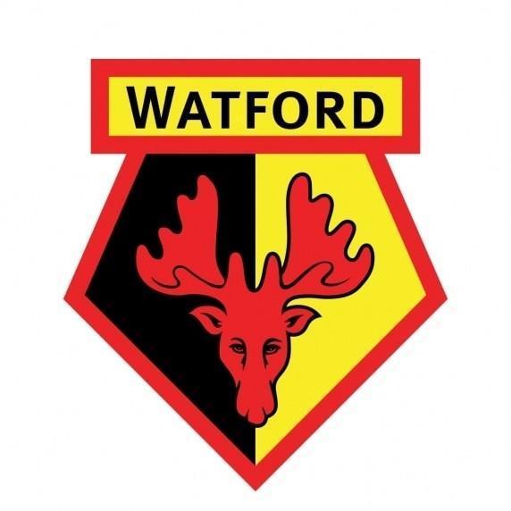 (🏴󠁧󠁢󠁥󠁮󠁧󠁿) Watford