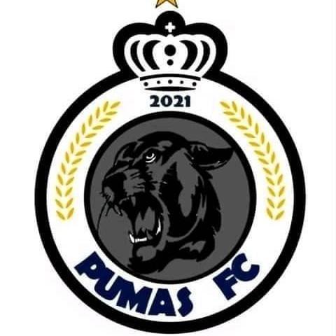 PUMAS DE LAS JOYAS