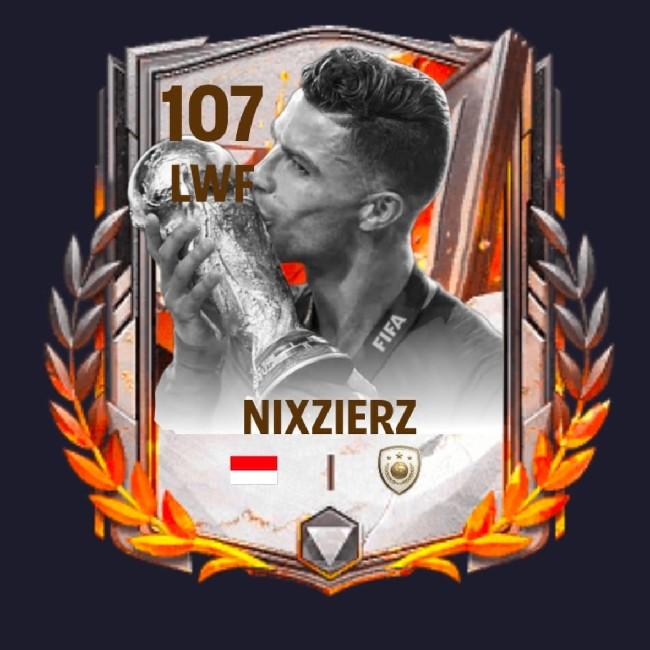 DW•Nixzierz.