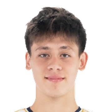 Arda Guler