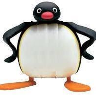 Pinguim Roliço FC