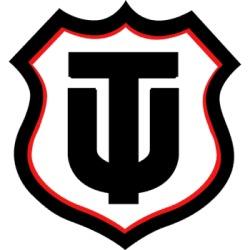 Técnico Universitario
