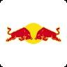 Oracle Red Bull Racing