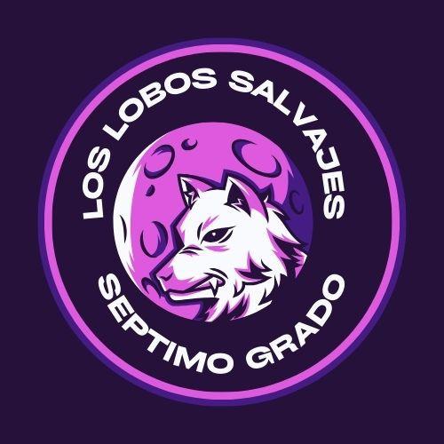 Séptimo Grado