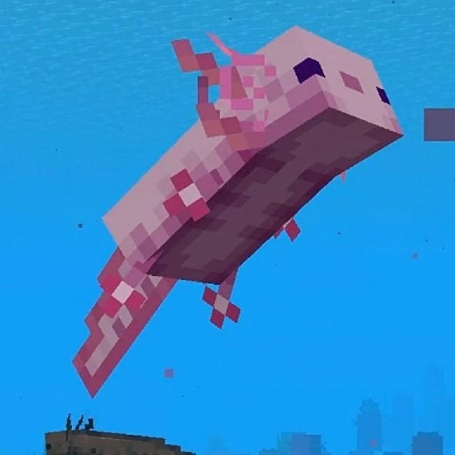 Axolotl AFC