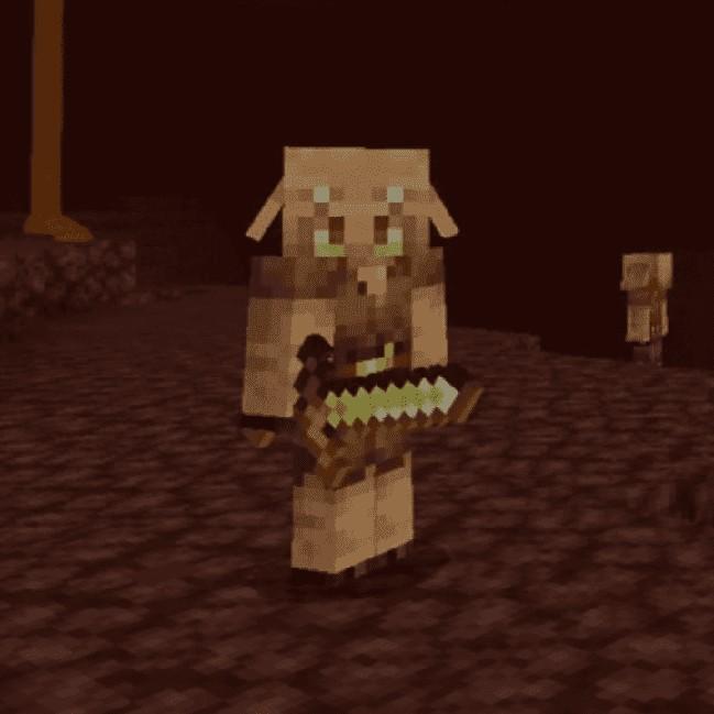 Piglin Protectors