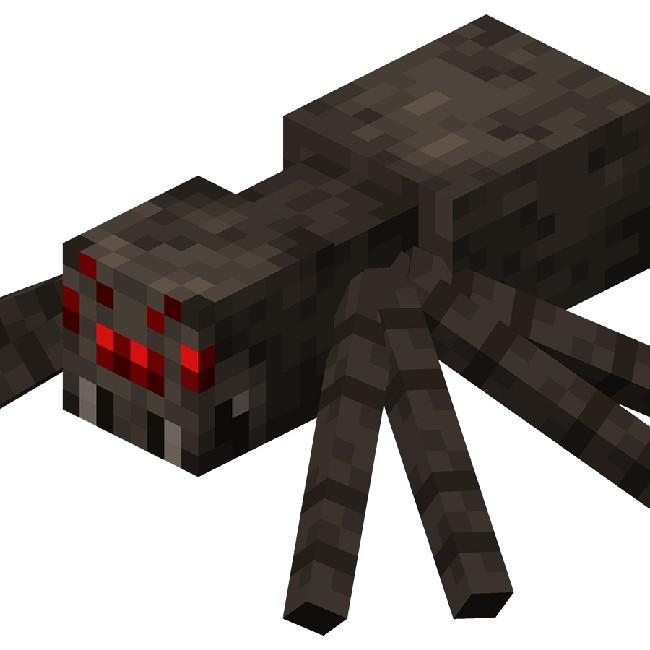 Spider Storm