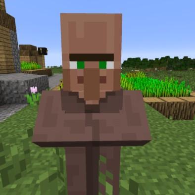 Villager Valley