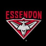 Essendon