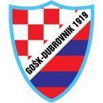 NK GOŠK DUBROVNIK 1919