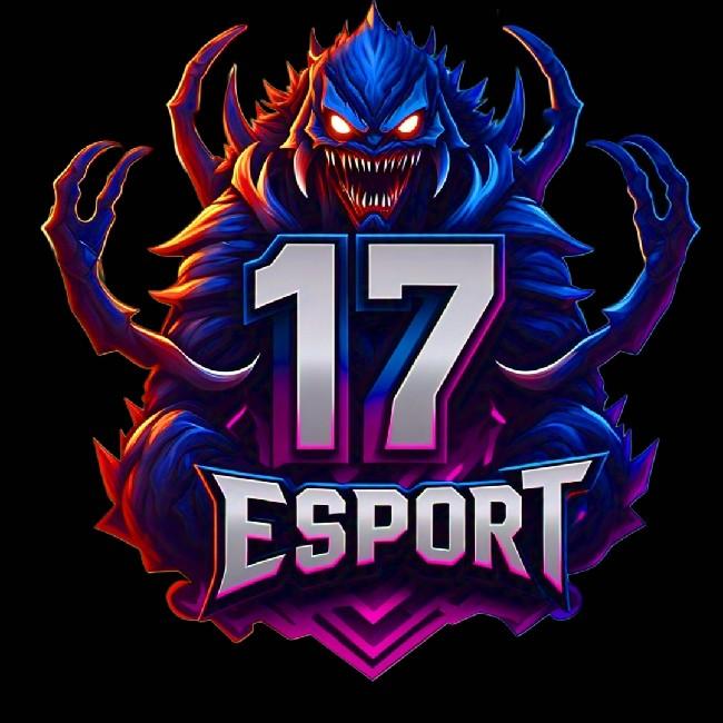 17 ESPORTS
