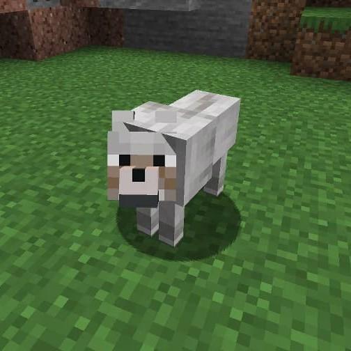 Wolf Wanderers