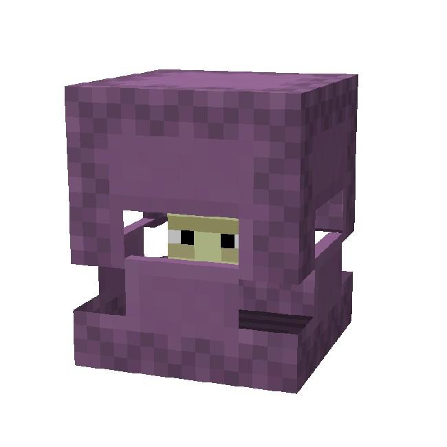 Shulker Shore