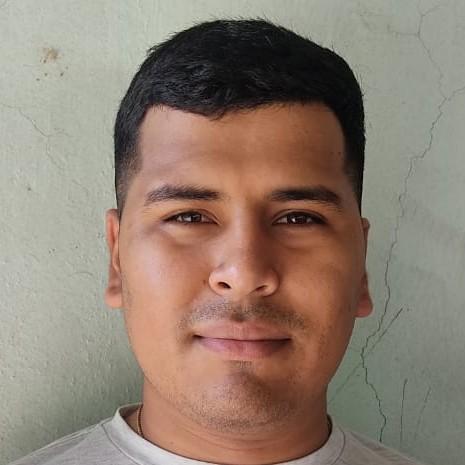 Luis Carlos Machichi