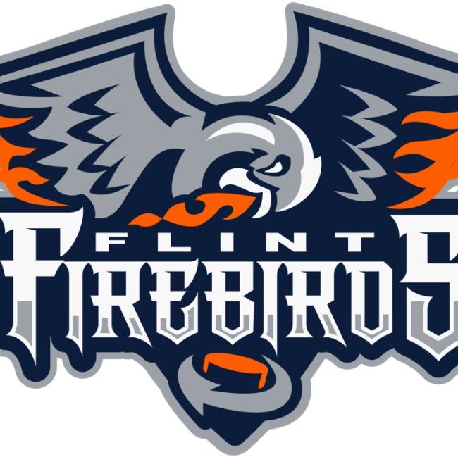 Flint Firebirds