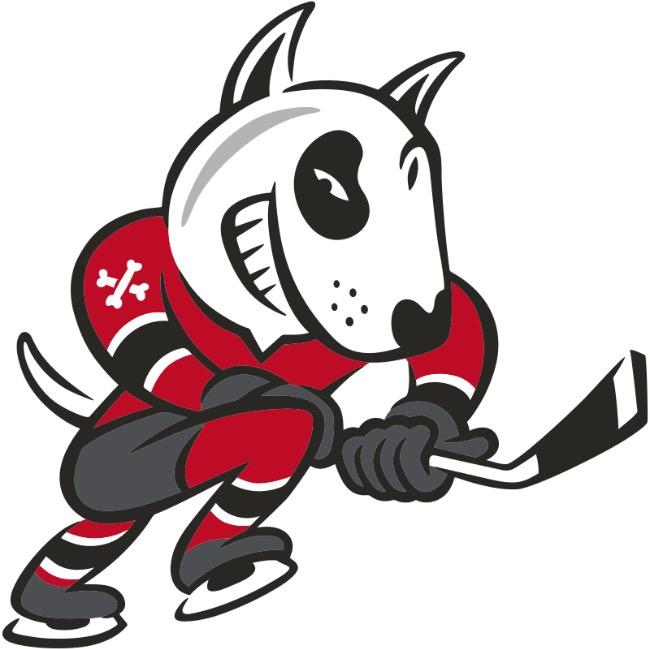 Niagara ice Dogs
