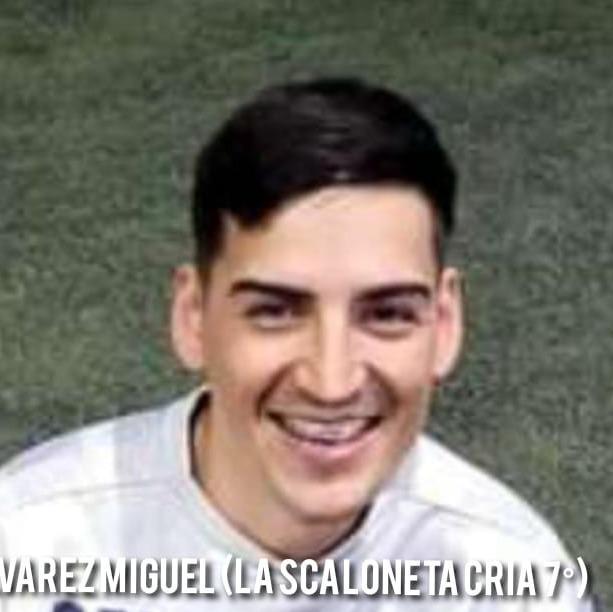 Álvarez Miguel