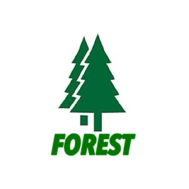 Форест