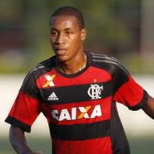 Fellipe Andrade da Silva Luzia