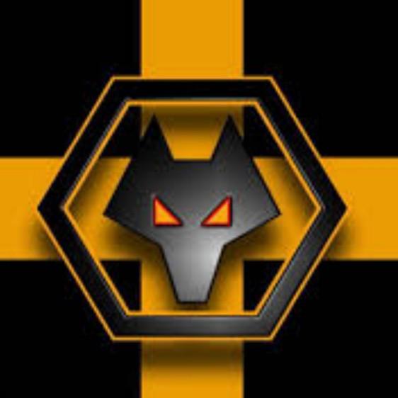 Wolves fc