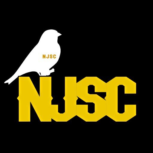 NJSC Goldfinch