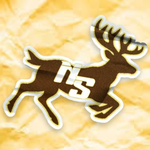Nebraska State White Tails
