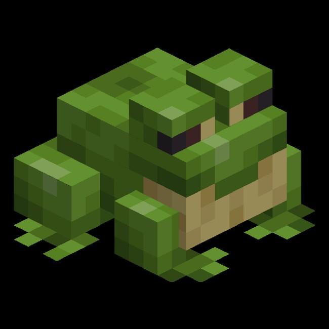 Frog Forest