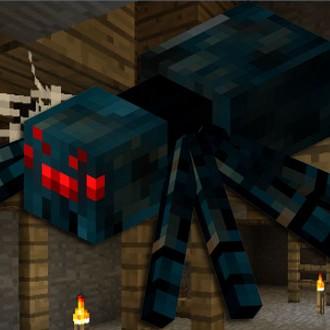 Cave Spider Cavern