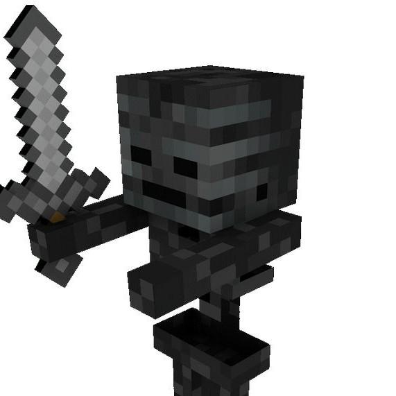 Wither Skeleton FC
