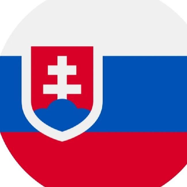 Ружичка 80