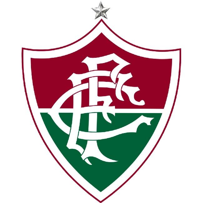 🇧🇷 Fluminense F.C.