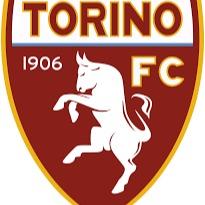 Torina