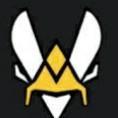 Team Vitality