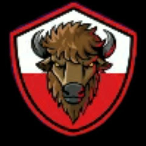 Bisón FC