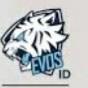 Evos