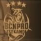 BCN Pro Team