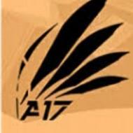 A17