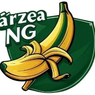 Várzea F.C.