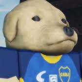 Cachorrão