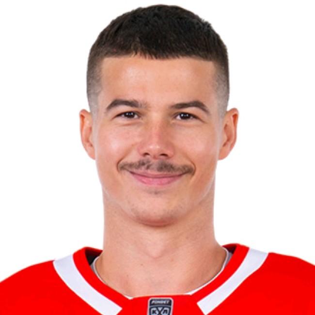 Николай Голдобин