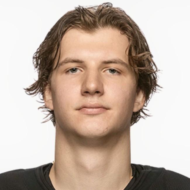 Виталий Кравцов