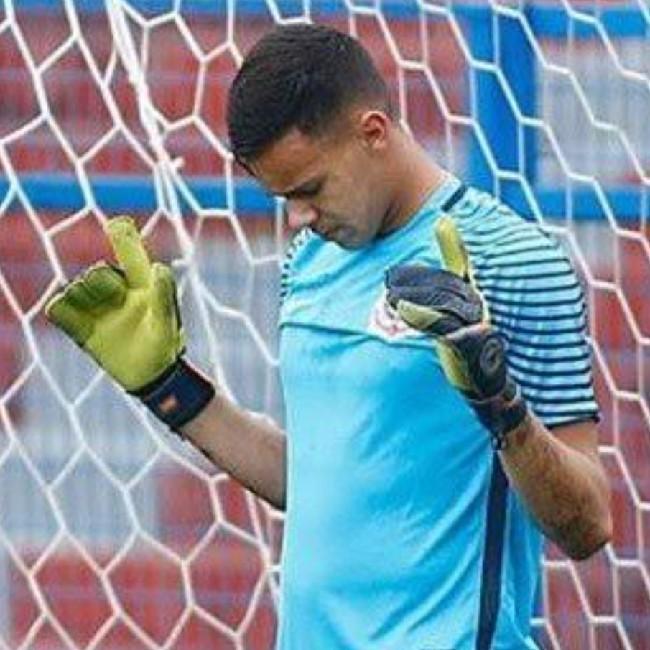 Alan Gobetti Silva