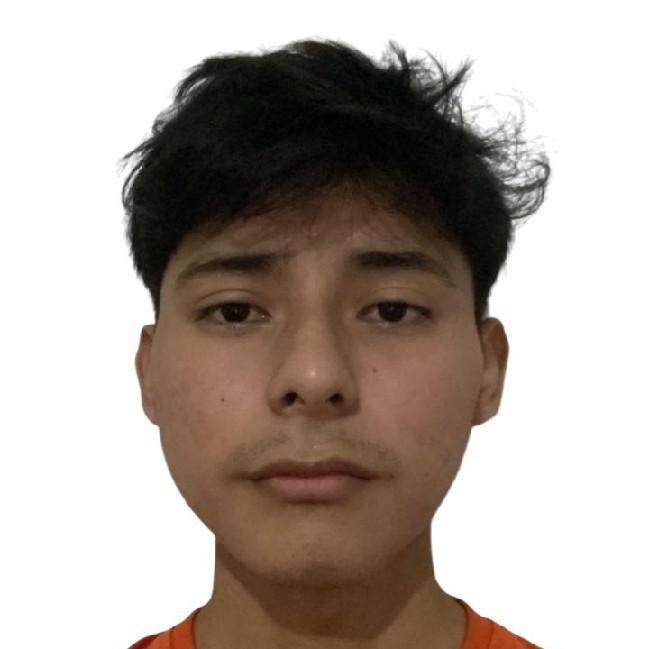 Alvaro Fabián Padilla Choquechambi