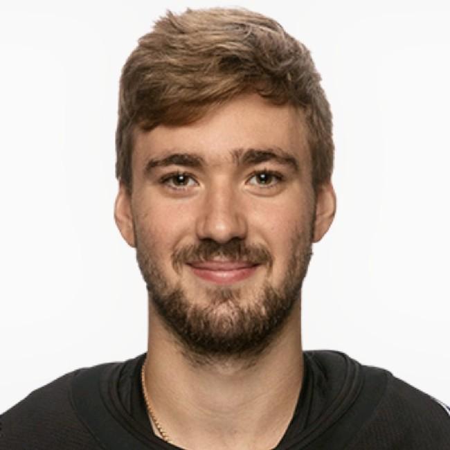 Илья Николаев