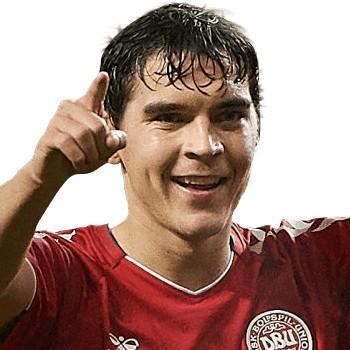 🇩🇰 R. Skov
