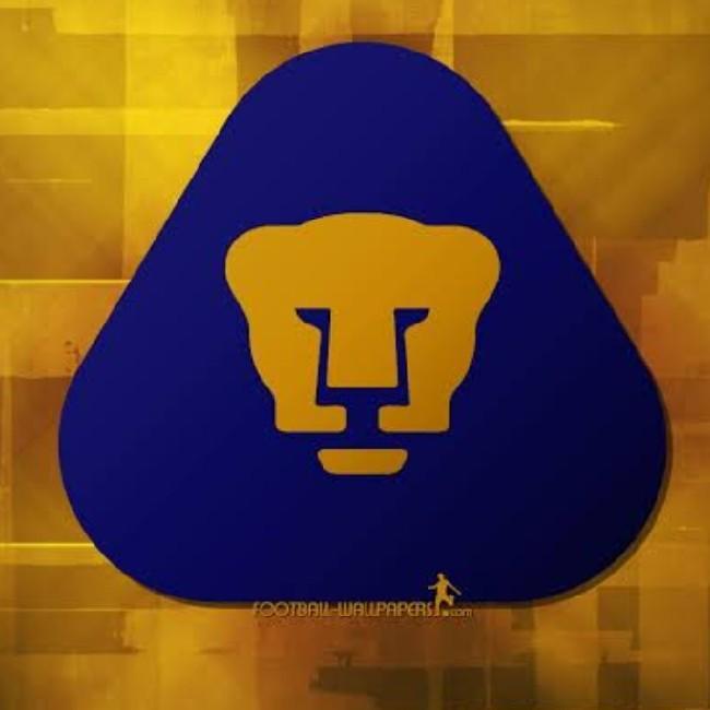 Pumas